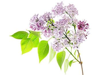 《双人成行》团队新作中文名《双影奇境》 明年发售